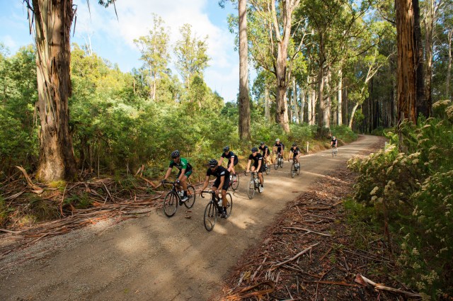 soigneur_king_valley_2014_rr_o-nev_8637