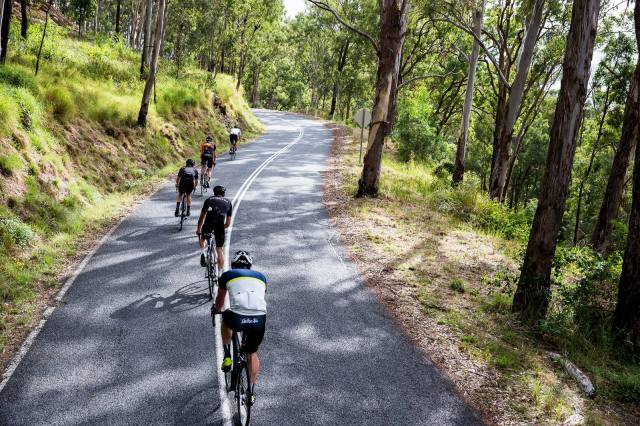 11713699_418822261654065_4051854075037333903_o